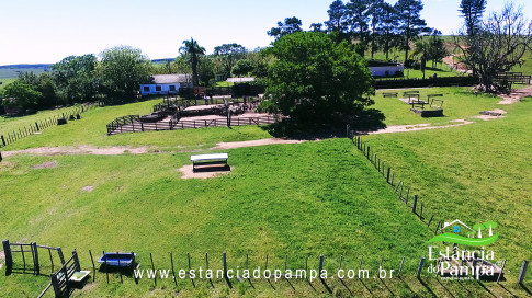 VAI ATE MANGUEIRA OVELHAS.00_03_47_19.Quadro052_afb33bf9d4c7a654f1cd1a16326f4ab19b5dee9f.jpg